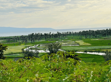 Is Burundi Safe to Travel? Practical Planning Guide